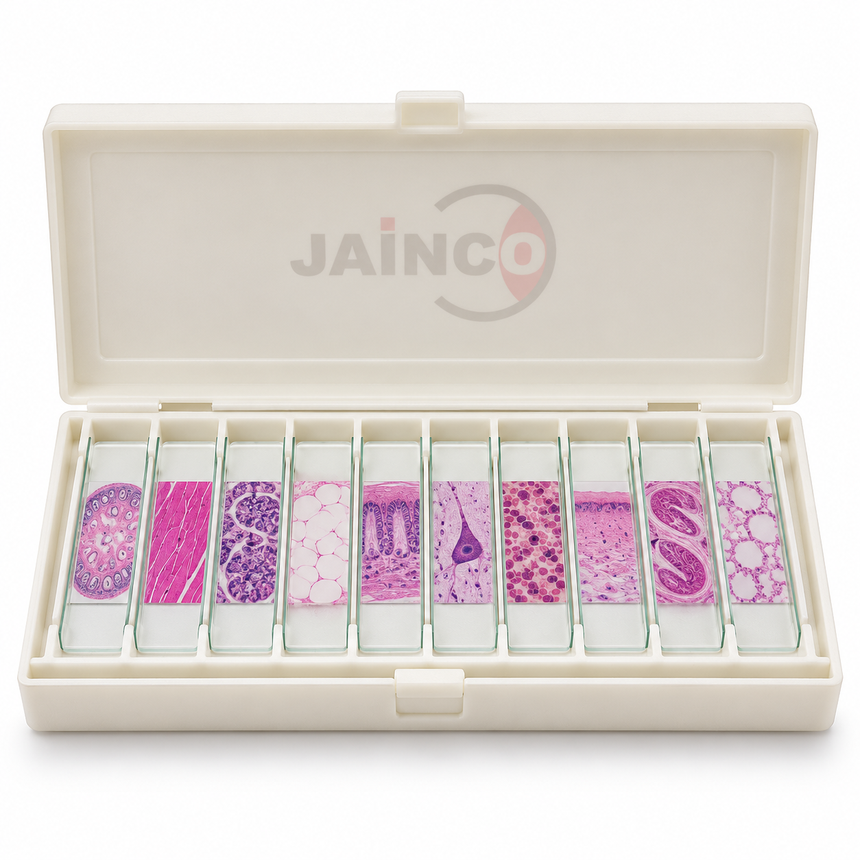 Microslide Animal Tissue Set 2